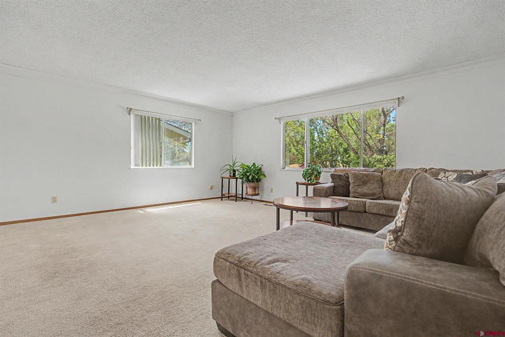 1227 Sherwood Drive Montrose CO 81401