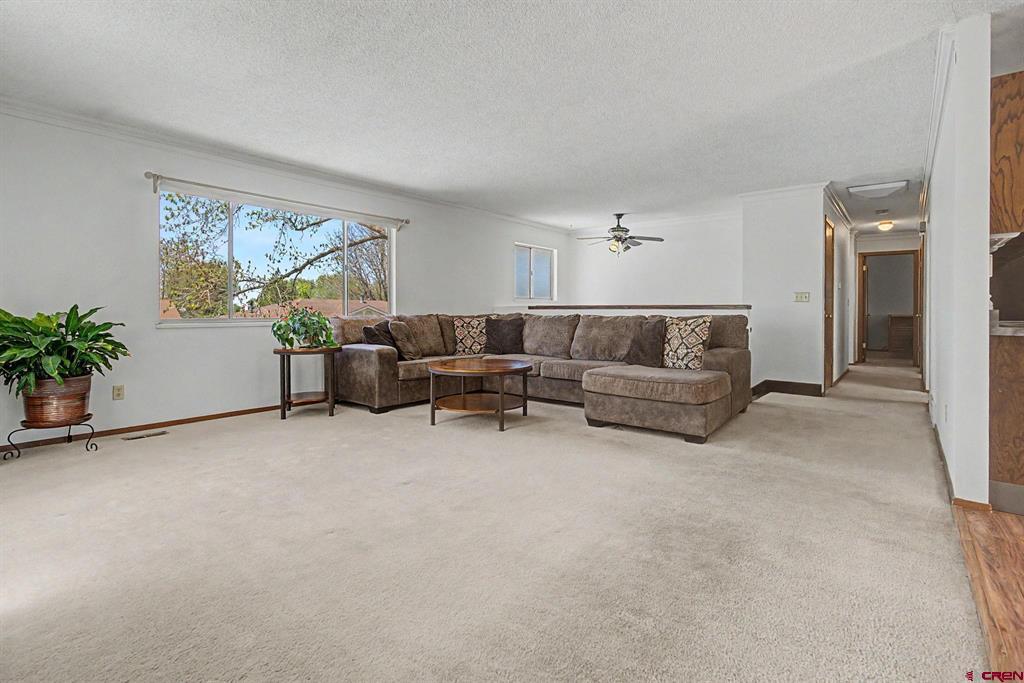 1227 Sherwood Drive Montrose CO 81401