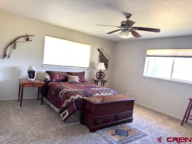 6301 Road 24.35 Cortez CO 81321