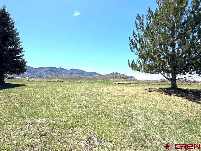 6301 Road 24.35 Cortez CO 81321