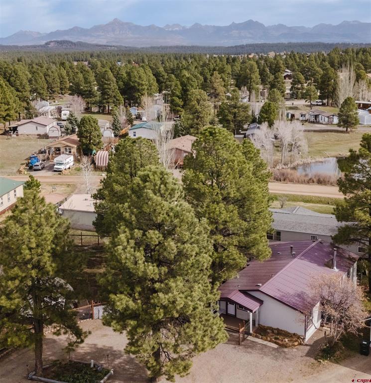 149 Fireside Street Pagosa Springs CO 81147