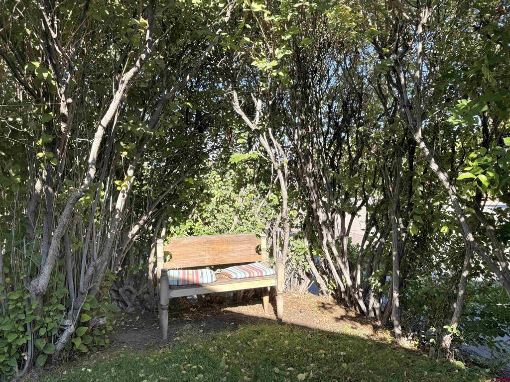 302 Bell Avenue Alamosa CO 81101