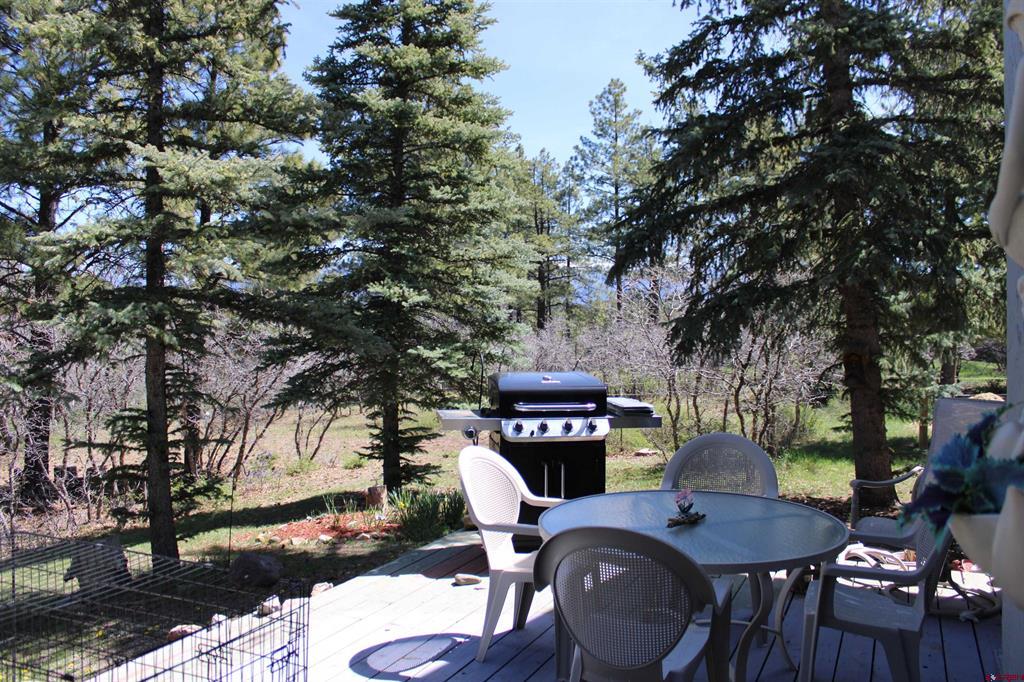 77 Golden Pond Pagosa Springs CO 81147