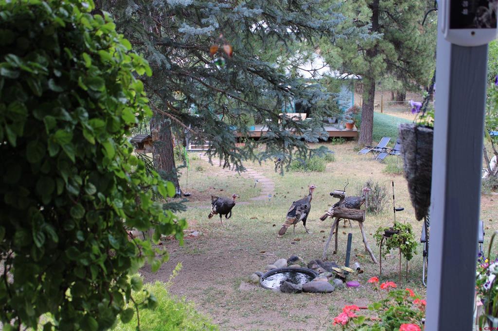 77 Golden Pond Pagosa Springs CO 81147