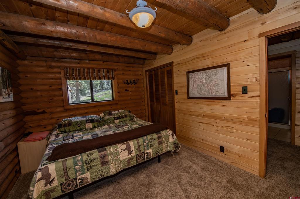 102 Meadowbrook Park Pagosa Springs CO 81147
