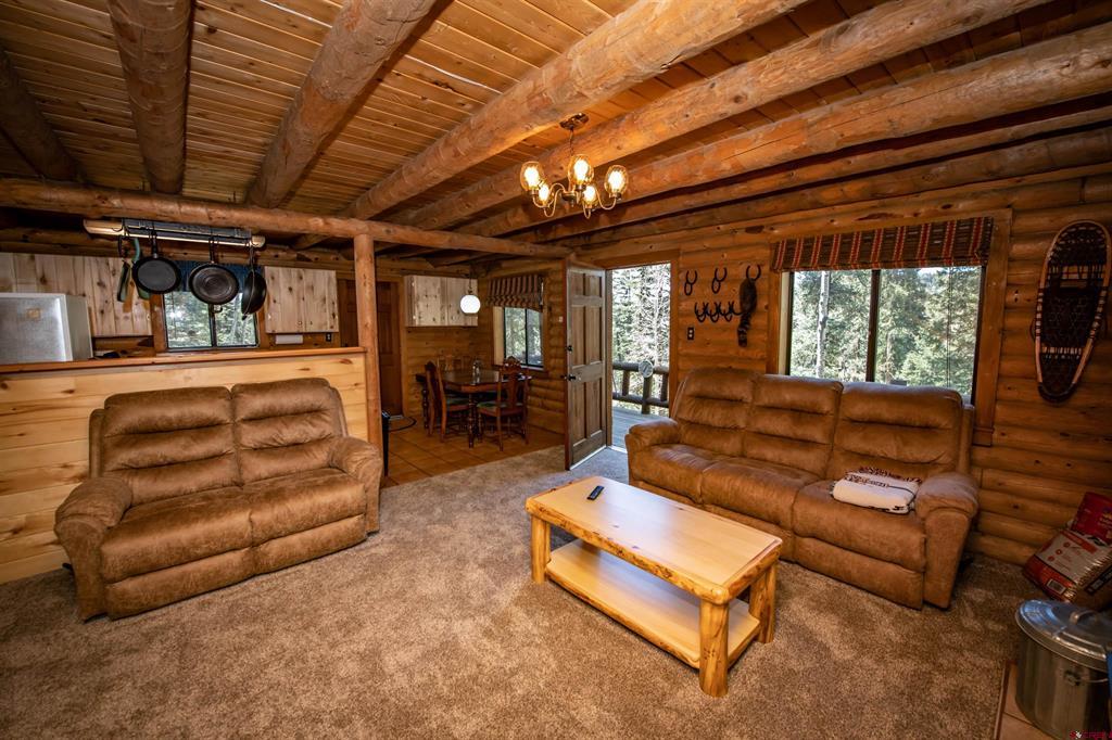 102 Meadowbrook Park Pagosa Springs CO 81147