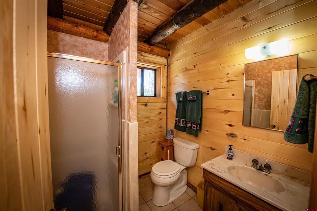102 Meadowbrook Park Pagosa Springs CO 81147
