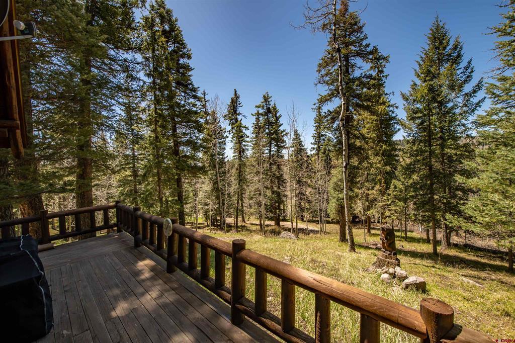 102 Meadowbrook Park Pagosa Springs CO 81147
