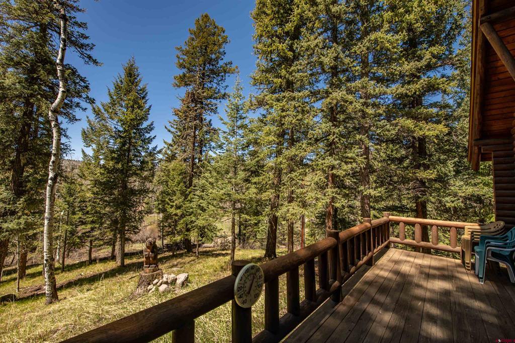 102 Meadowbrook Park Pagosa Springs CO 81147