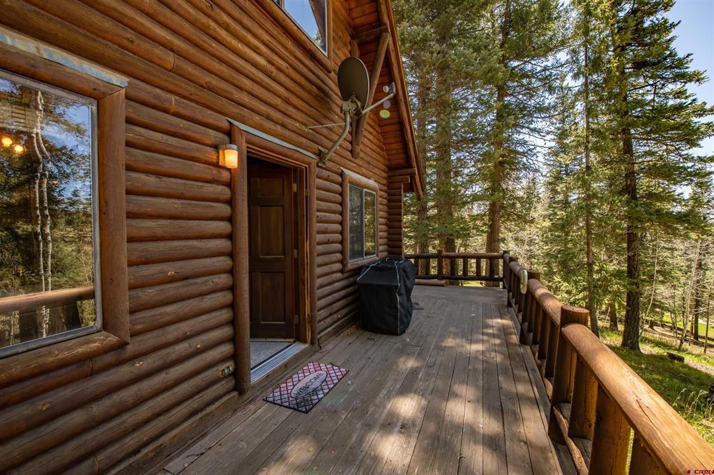 102 Meadowbrook Park Pagosa Springs CO 81147