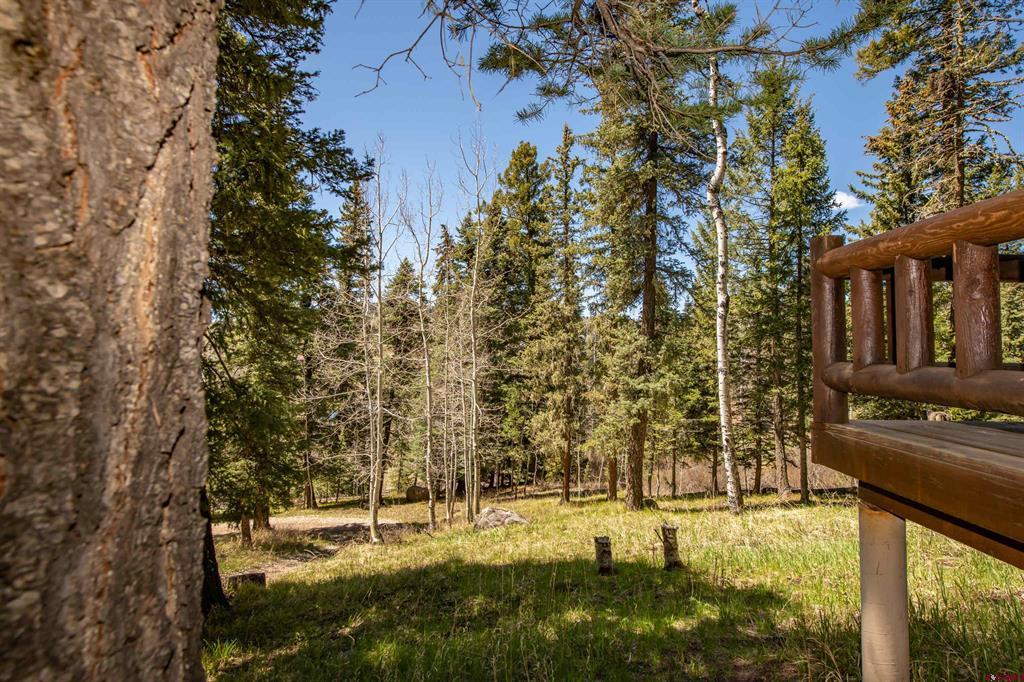 102 Meadowbrook Park Pagosa Springs CO 81147