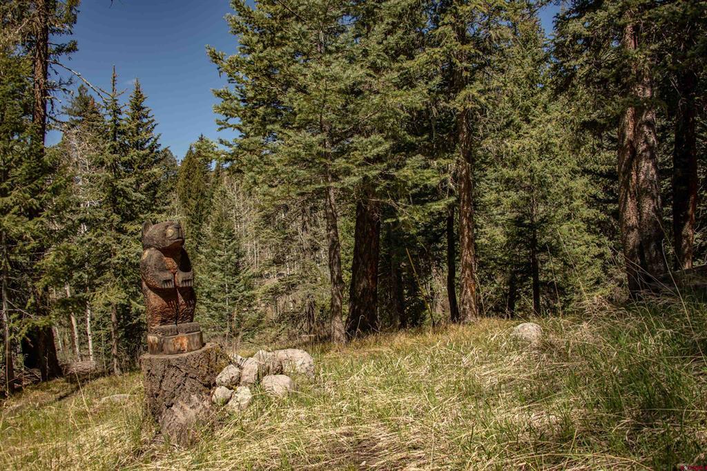102 Meadowbrook Park Pagosa Springs CO 81147