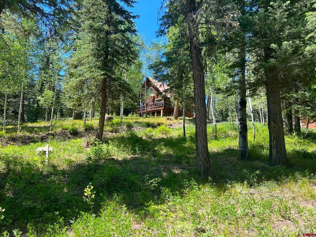 102 Meadowbrook Park Pagosa Springs CO 81147