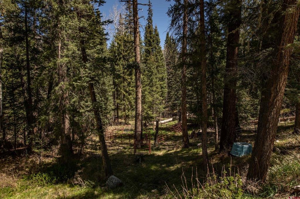 102 Meadowbrook Park Pagosa Springs CO 81147