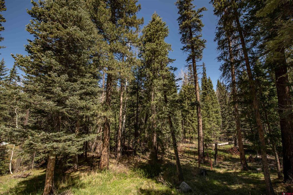 102 Meadowbrook Park Pagosa Springs CO 81147