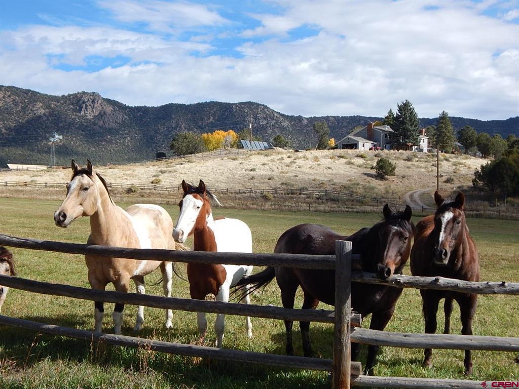 10203 Bostwick Park Road Montrose CO 81401