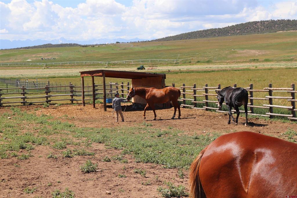 10203 Bostwick Park Road Montrose CO 81401