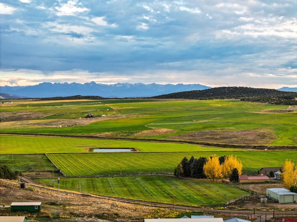 10203 Bostwick Park Road Montrose CO 81401