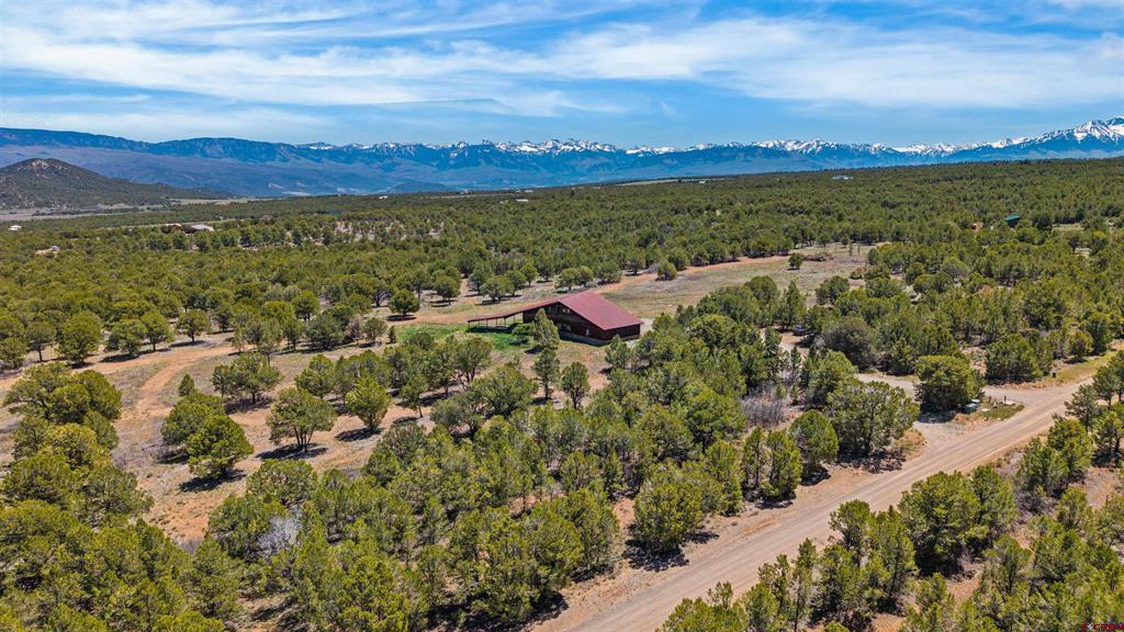 1531 Sage Road Montrose CO 81403