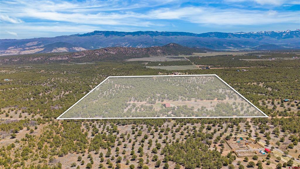 1531 Sage Road Montrose CO 81403