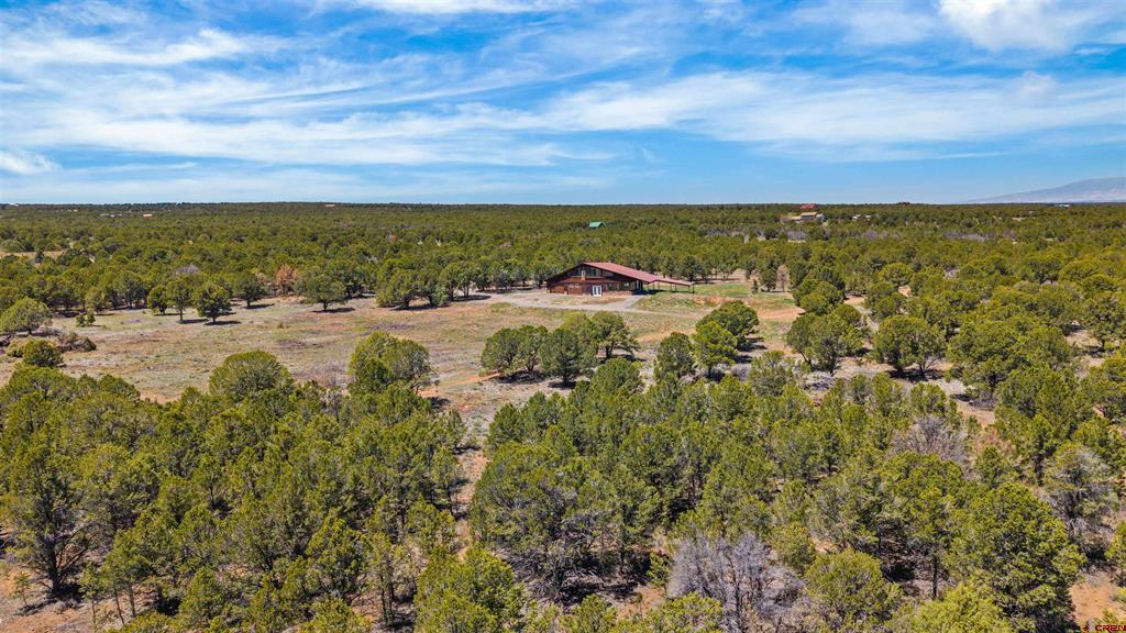 1531 Sage Road Montrose CO 81403