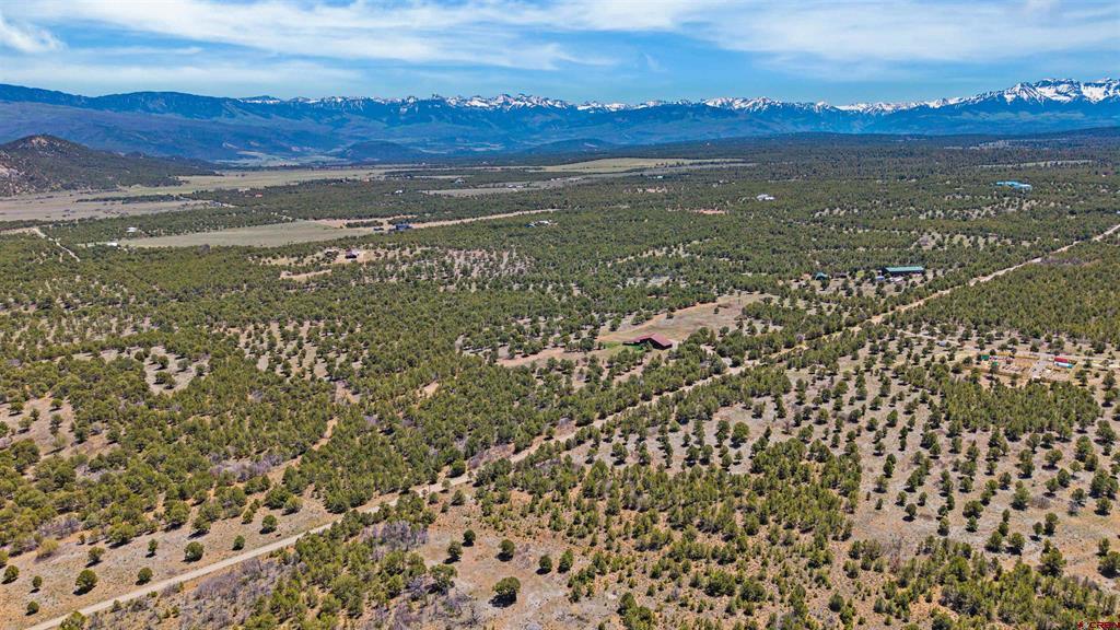 1531 Sage Road Montrose CO 81403