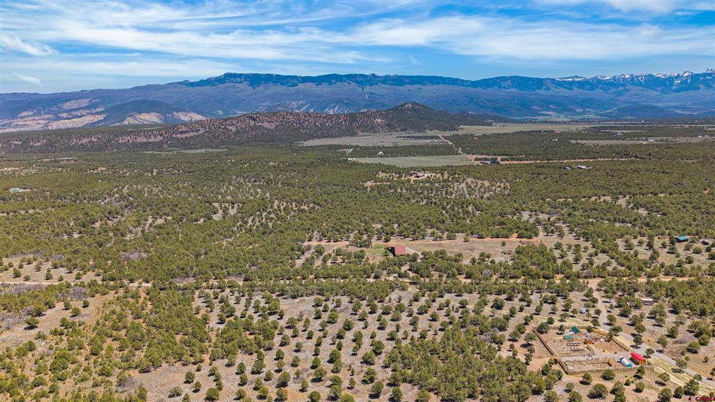 1531 Sage Road Montrose CO 81403