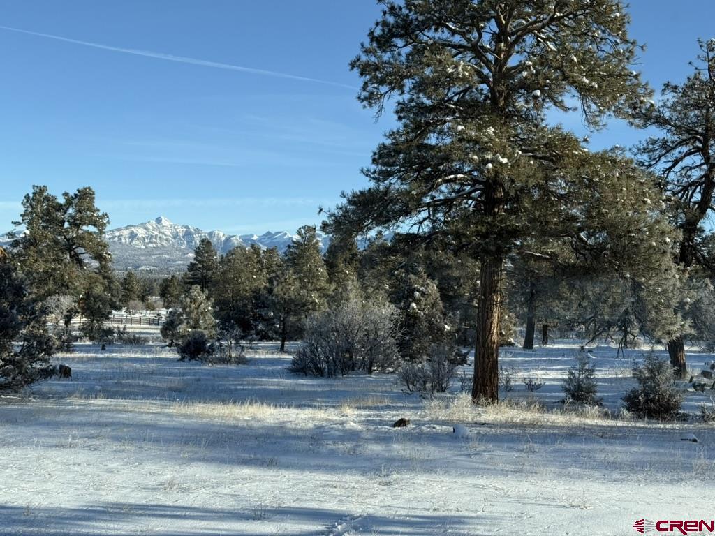 328 Mariposa Drive Pagosa Springs CO 81147