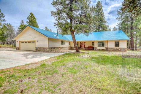 1160 Majestic Pagosa Springs CO 81147