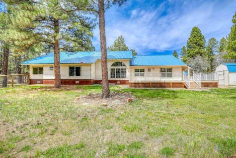 1160 Majestic Pagosa Springs CO 81147