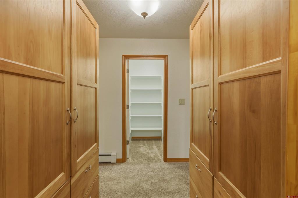 1160 Majestic Drive Pagosa Springs CO 81147