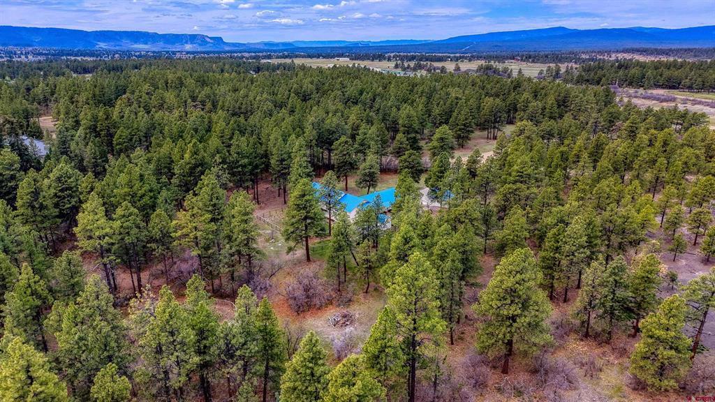 1160 Majestic Drive Pagosa Springs CO 81147