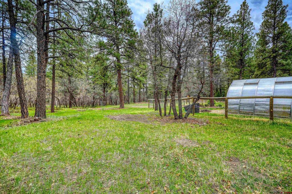 1160 Majestic Drive Pagosa Springs CO 81147