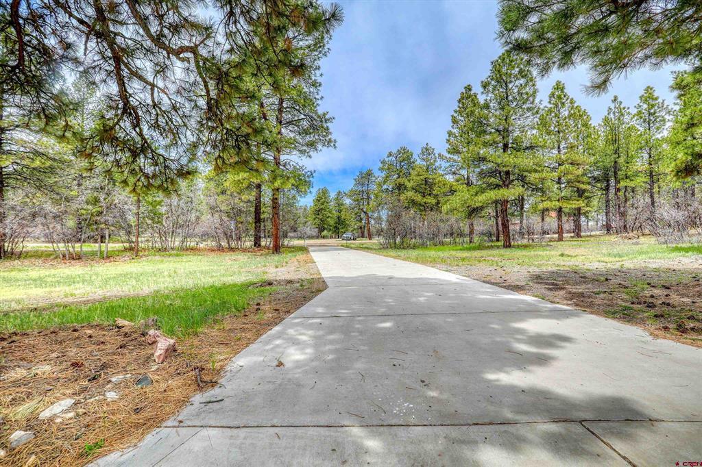 1160 Majestic Drive Pagosa Springs CO 81147