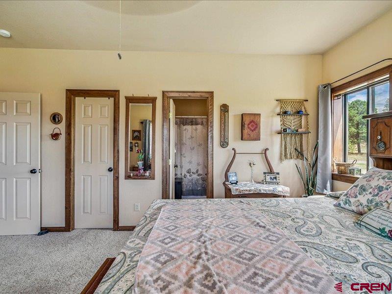1119 Hills Circle Pagosa Springs CO 81147