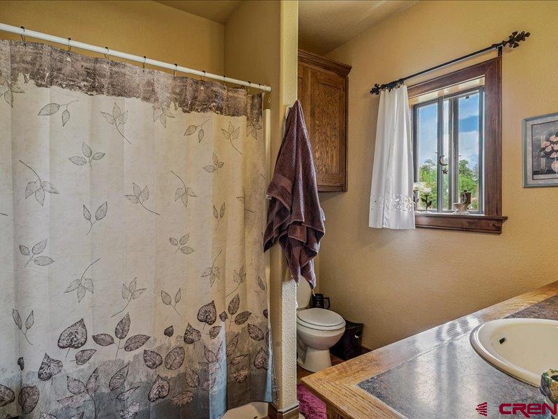 1119 Hills Circle Pagosa Springs CO 81147