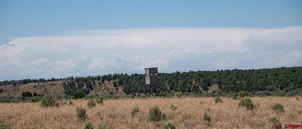 6548 County Road 100 Hesperus CO 81326
