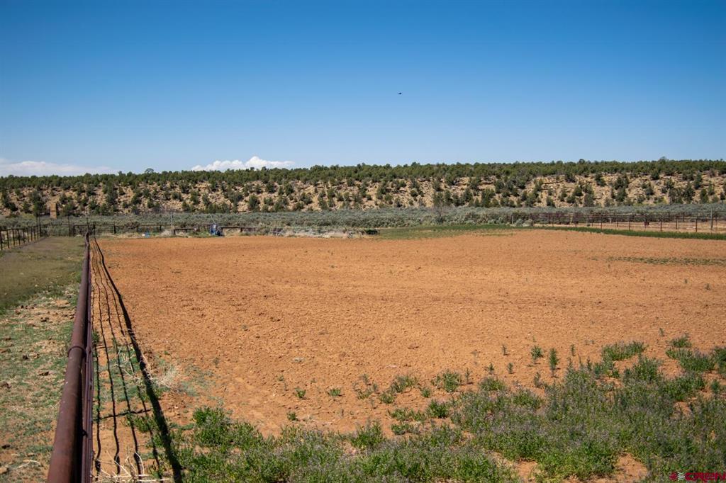 6548 County Road 100 Hesperus CO 81326