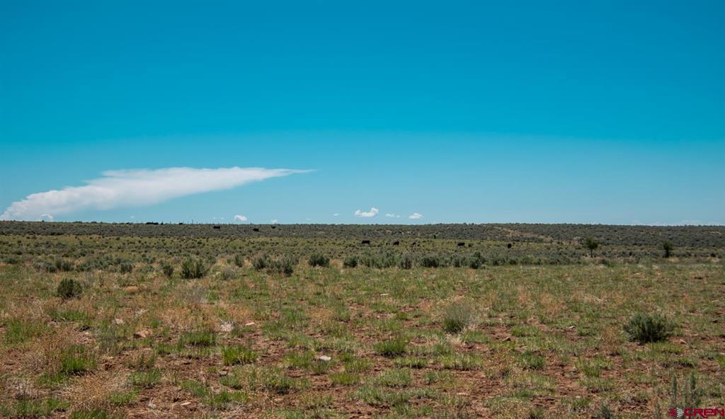 6548 County Road 100 Hesperus CO 81326