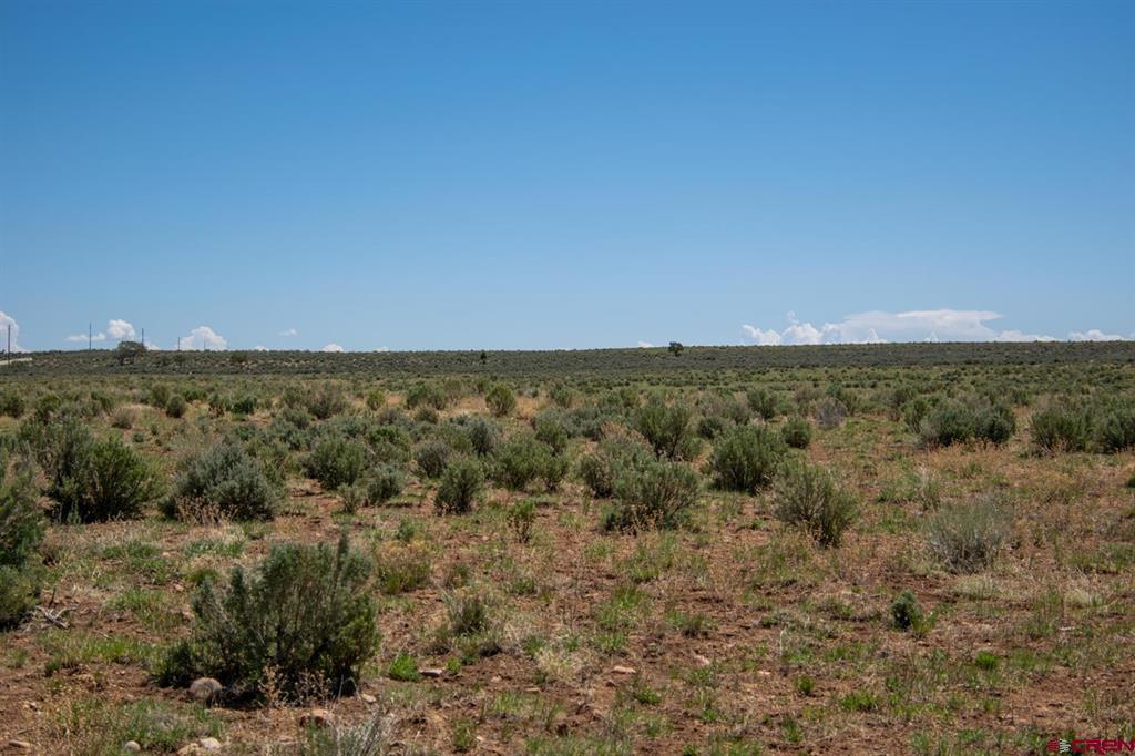 6548 County Road 100 Hesperus CO 81326