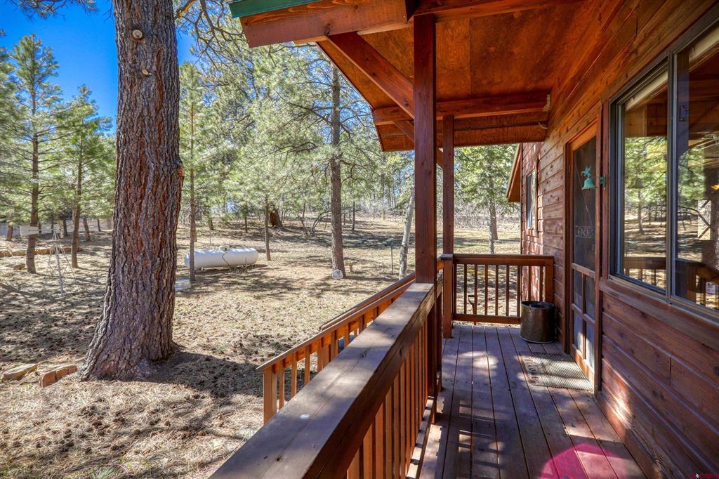29 Thrush Court Pagosa Springs CO 81147