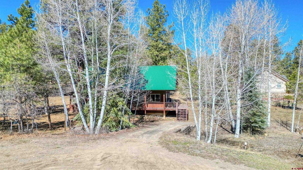 29 Thrush Court Pagosa Springs CO 81147