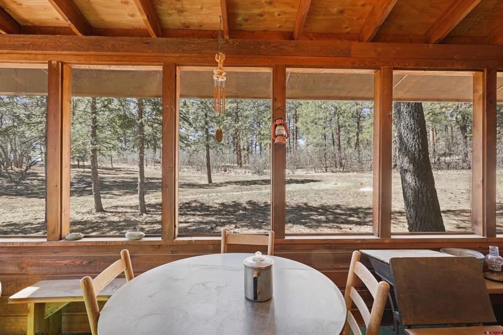 29 Thrush Court Pagosa Springs CO 81147
