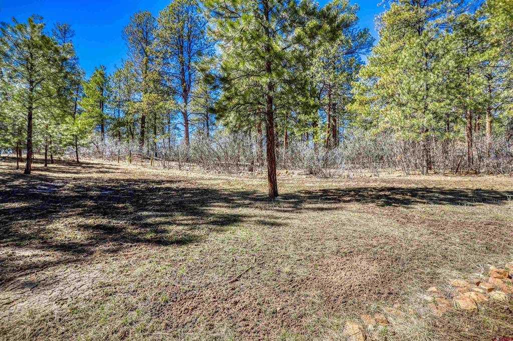 29 Thrush Court Pagosa Springs CO 81147