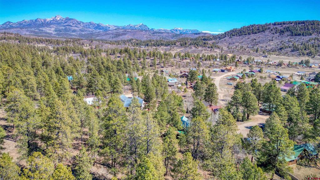 29 Thrush Court Pagosa Springs CO 81147
