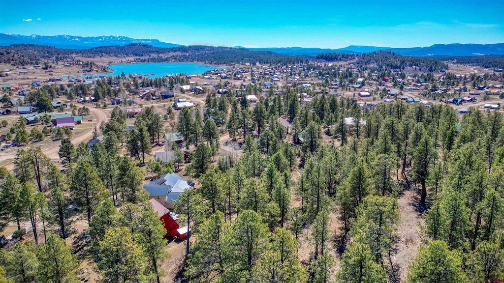 29 Thrush Court Pagosa Springs CO 81147