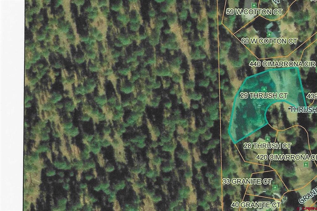 29 Thrush Court Pagosa Springs CO 81147