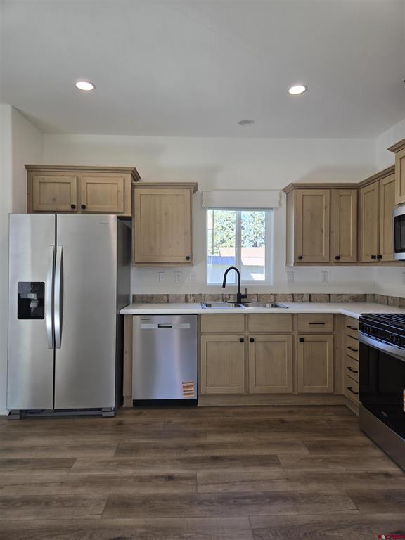 6000 County Road 203 Durango CO 81301