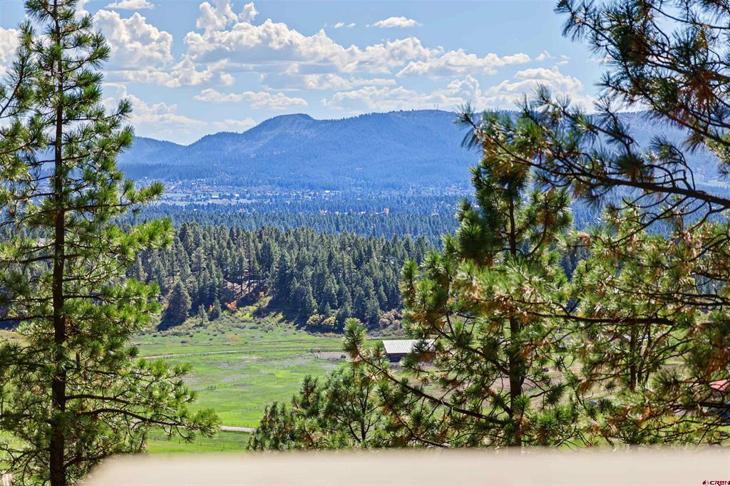 108 Cameo Court Pagosa Springs CO 81147