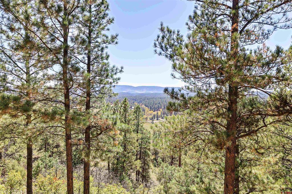 108 Cameo Court Pagosa Springs CO 81147